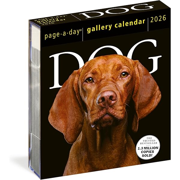 Amazon | DOG GALLERY CALENDAR 2025(PAGE-A-DAY) | カレンダー